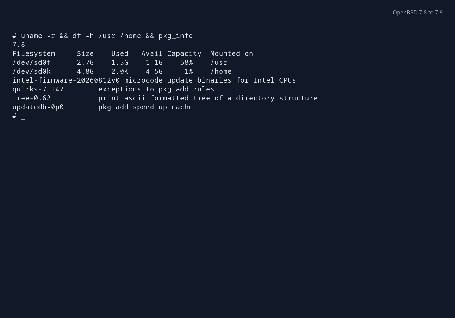 OpenBSD 7.8 with available disk space and installed packages.
